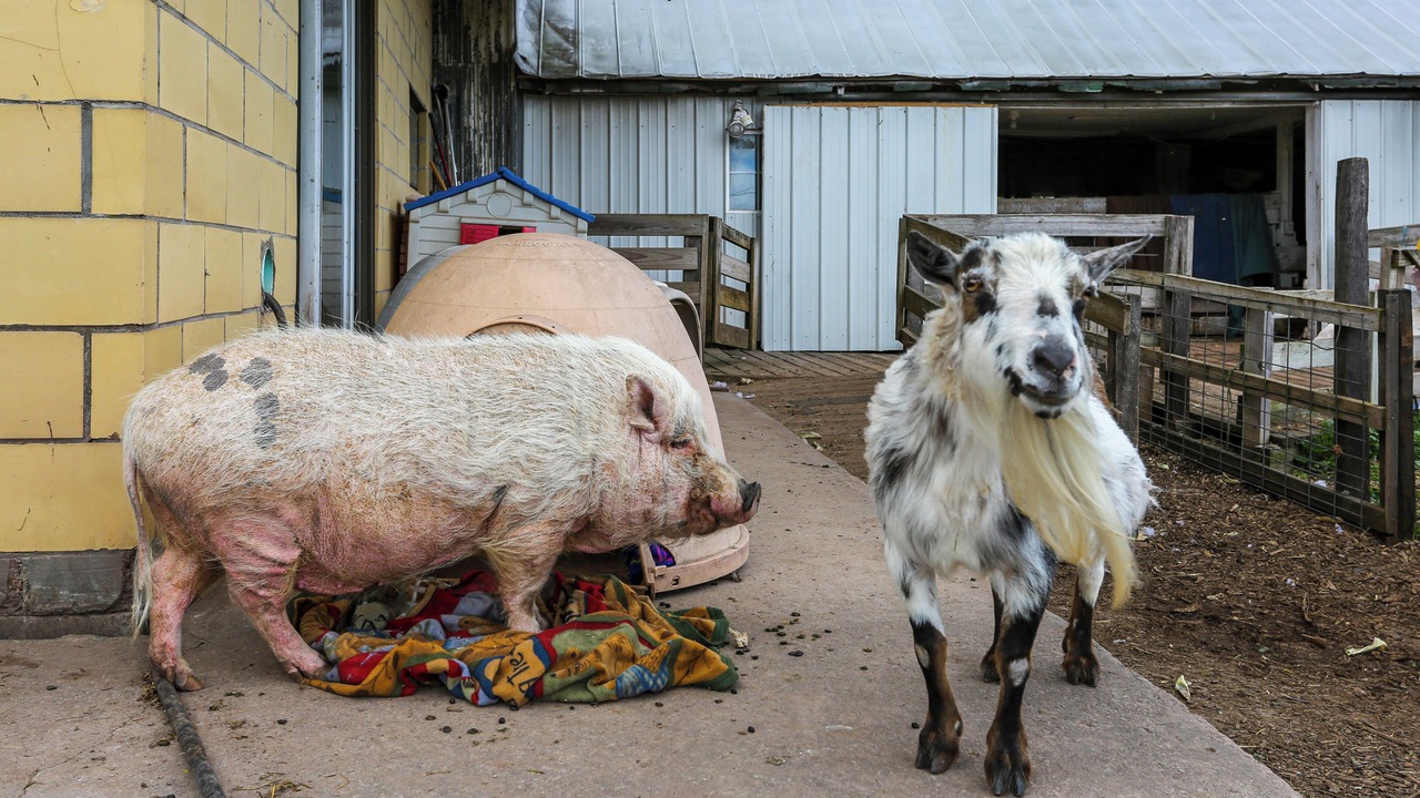 Photo of Others in White Mills