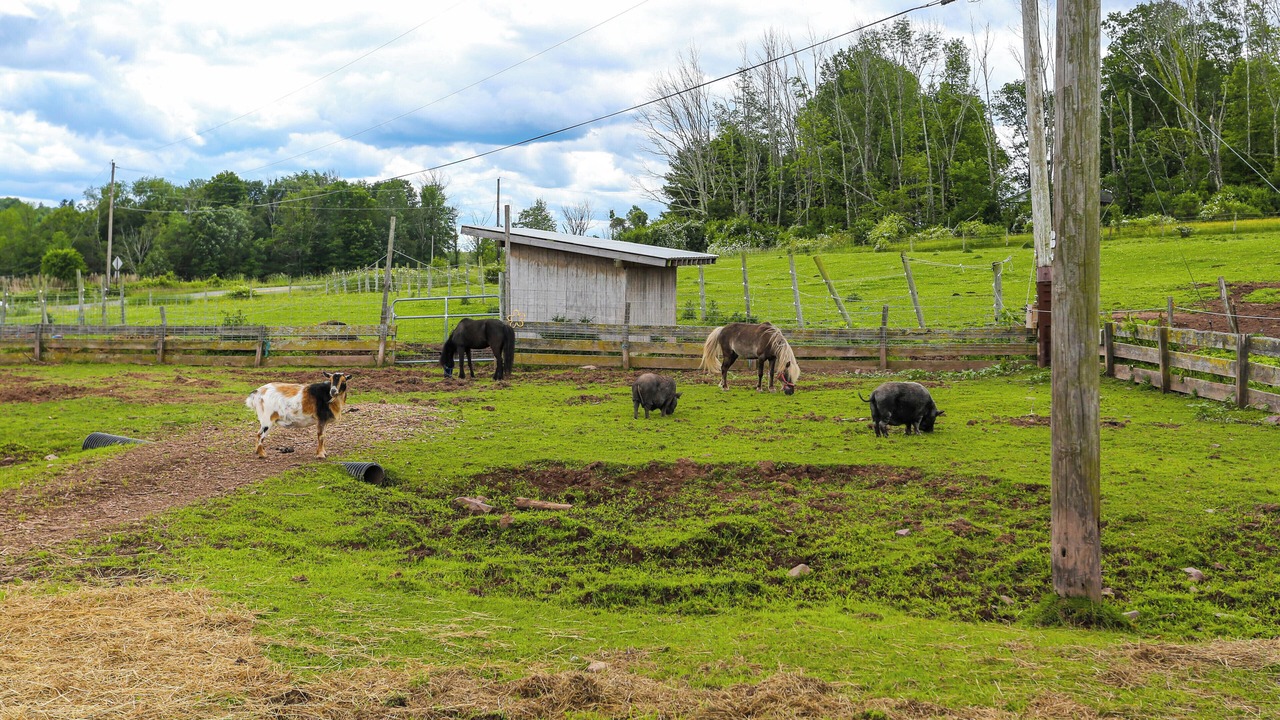 Photo of Outdoor in White Mills