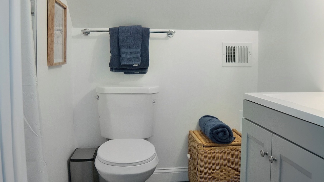 Photo of Bathroom in Bolivar
