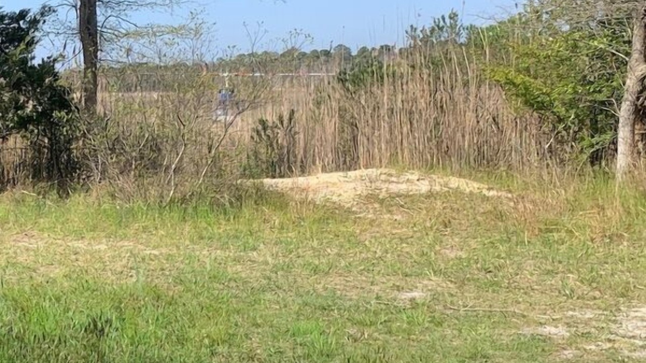 Photo of Outdoor in Little Egg Harbor