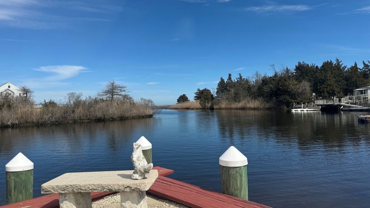 Photo of Others in Little Egg Harbor