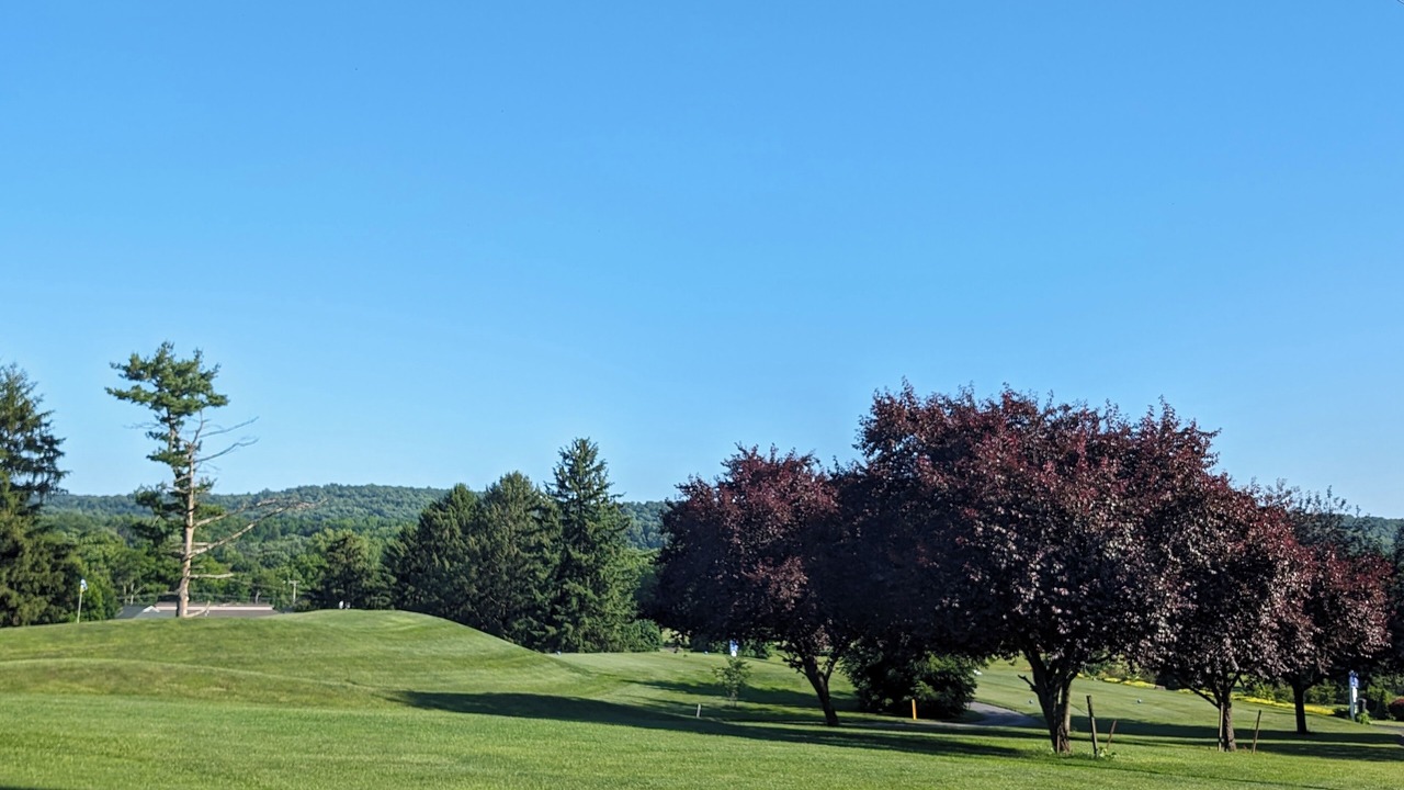 Photo of Others in Lebanon - Pine Grove