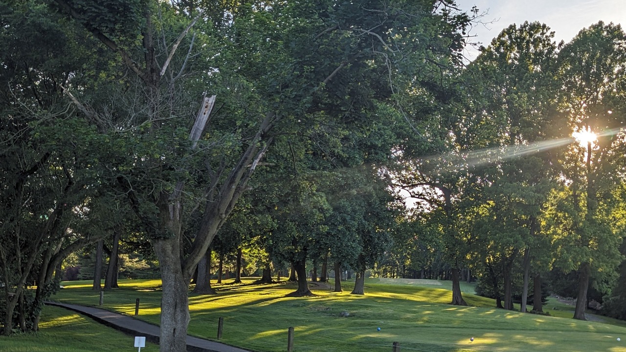 Photo of Others in Lebanon - Pine Grove