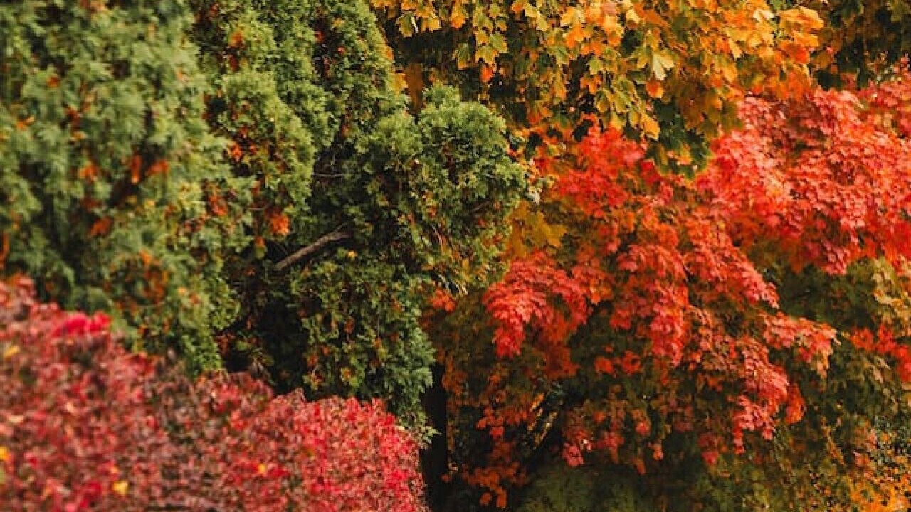 Photo of Outdoor in Defiance