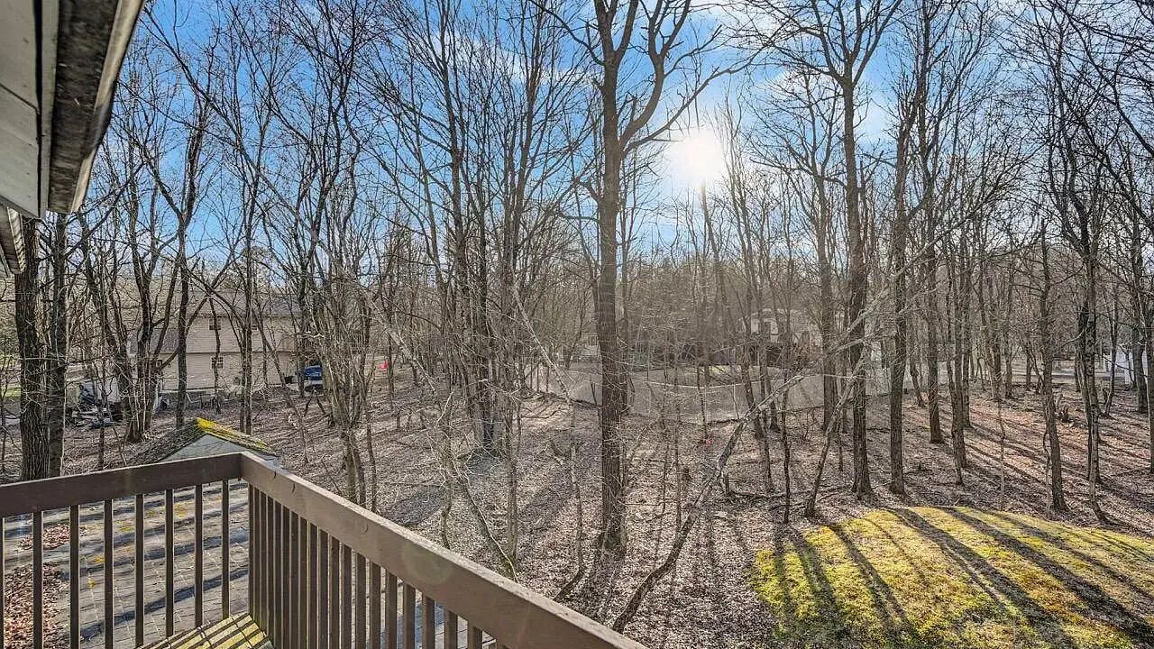 Photo of Outdoor in Mount Pocahontas