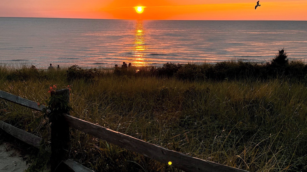 Photo of Others in North Cape May