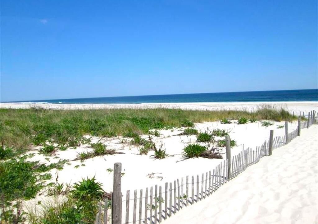 Photo of Others in Beach Haven