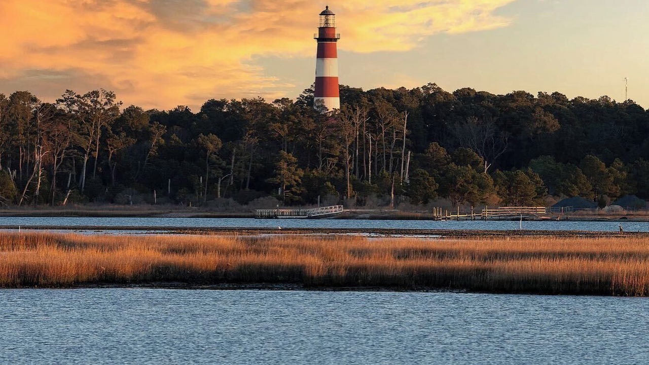 Photo of Others in Chincoteague