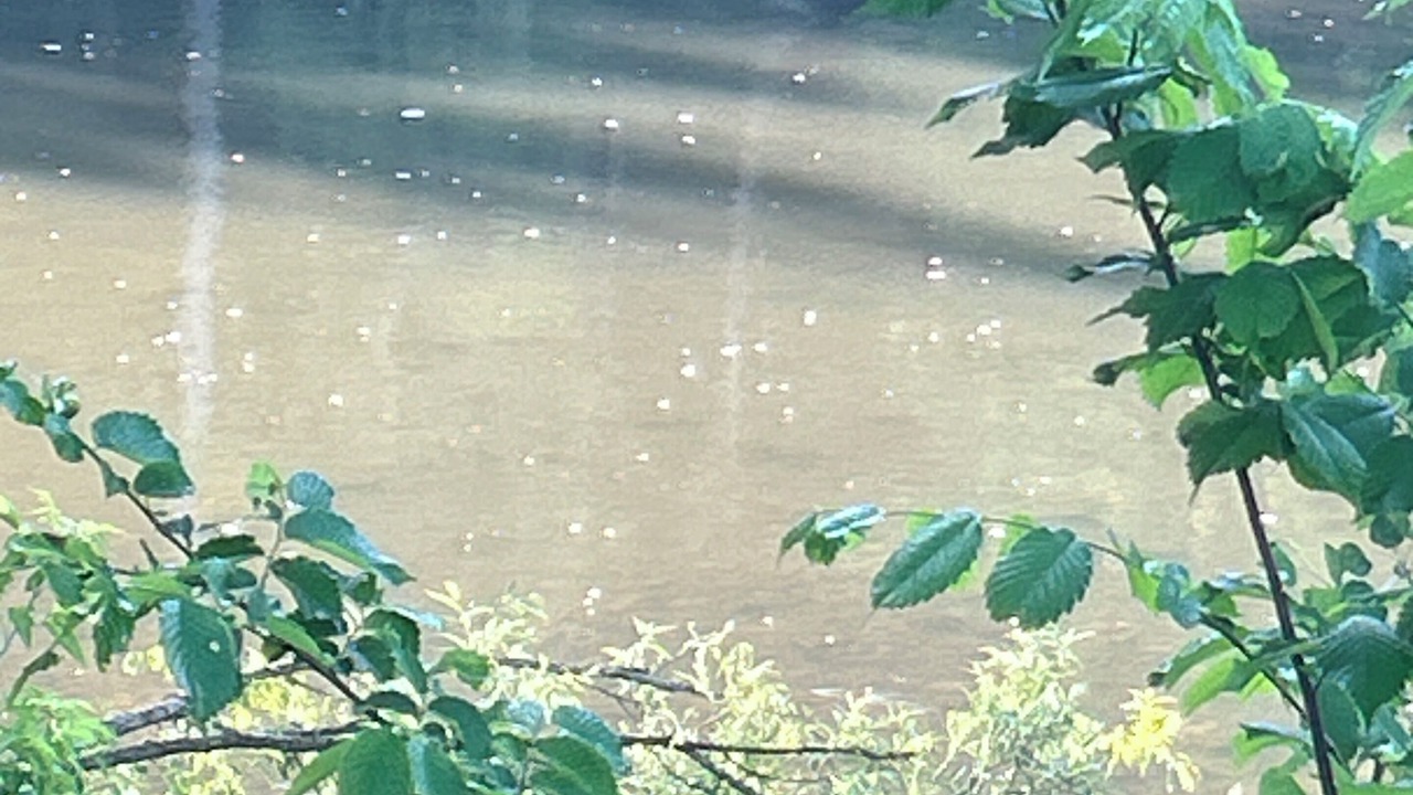 Photo of Others in Venango