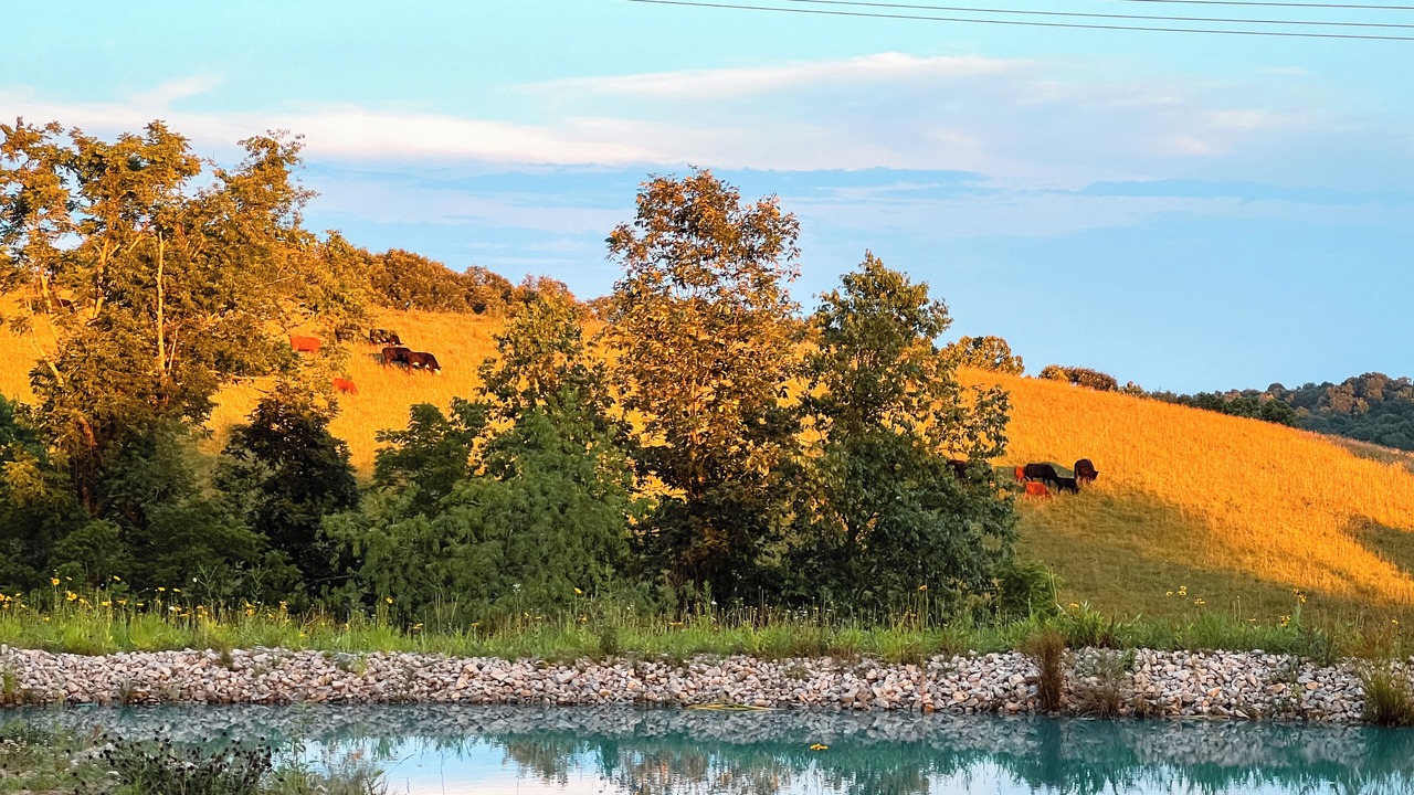 Photo of Outdoor in Creola