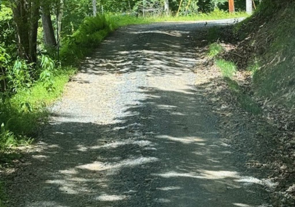 Photo of Others in Sutton