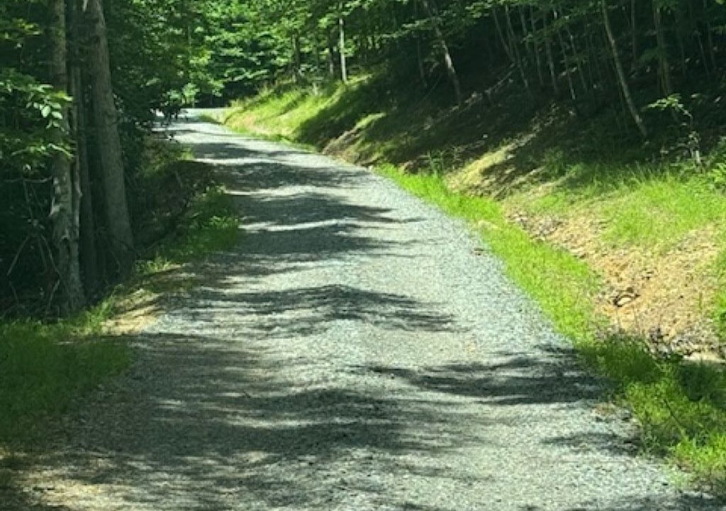 Photo of Outdoor in Sutton