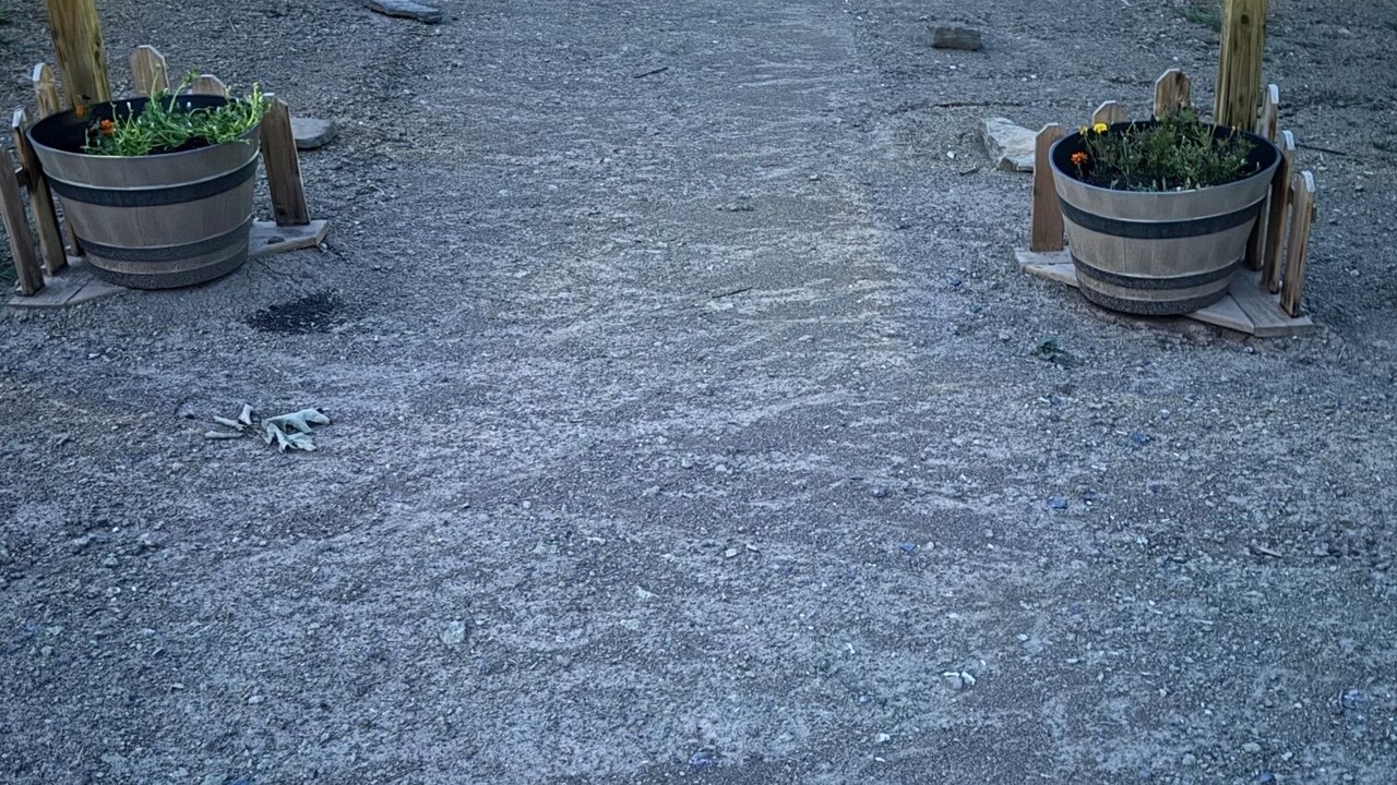 Photo of Outdoor in Sutton