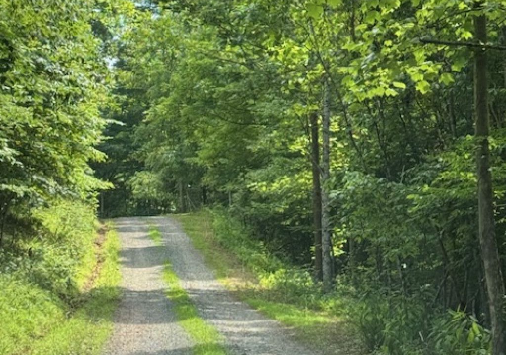 Photo of Outdoor in Sutton