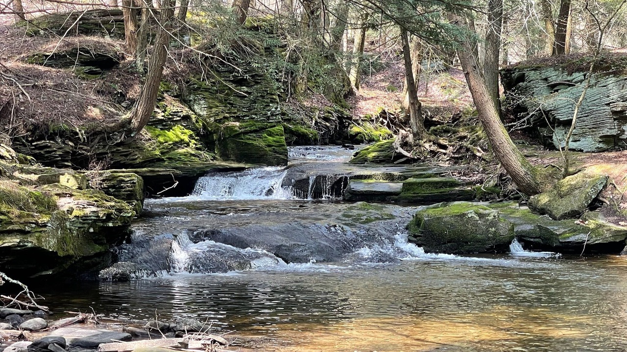 Photo of Outdoor in Thompson