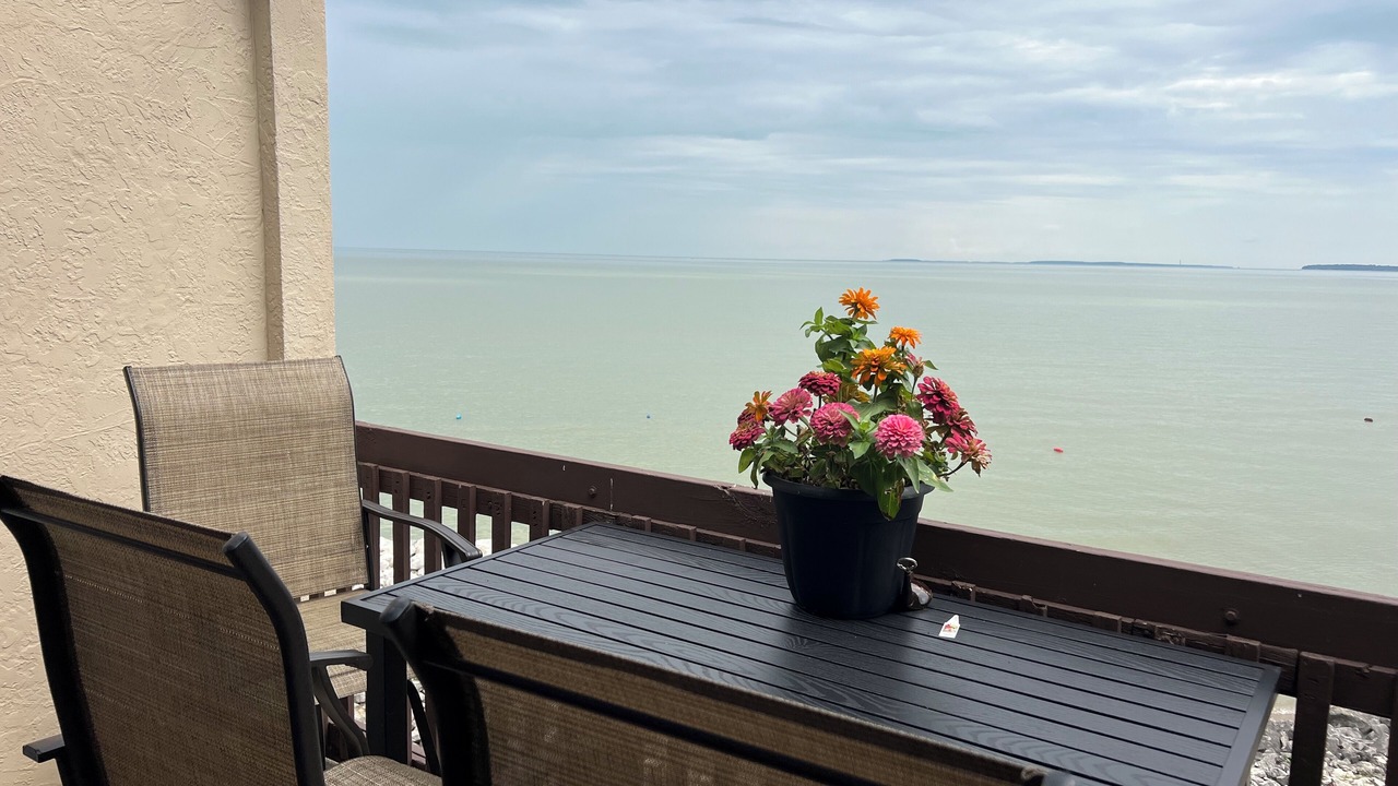 Photo of Outdoor in Port Clinton