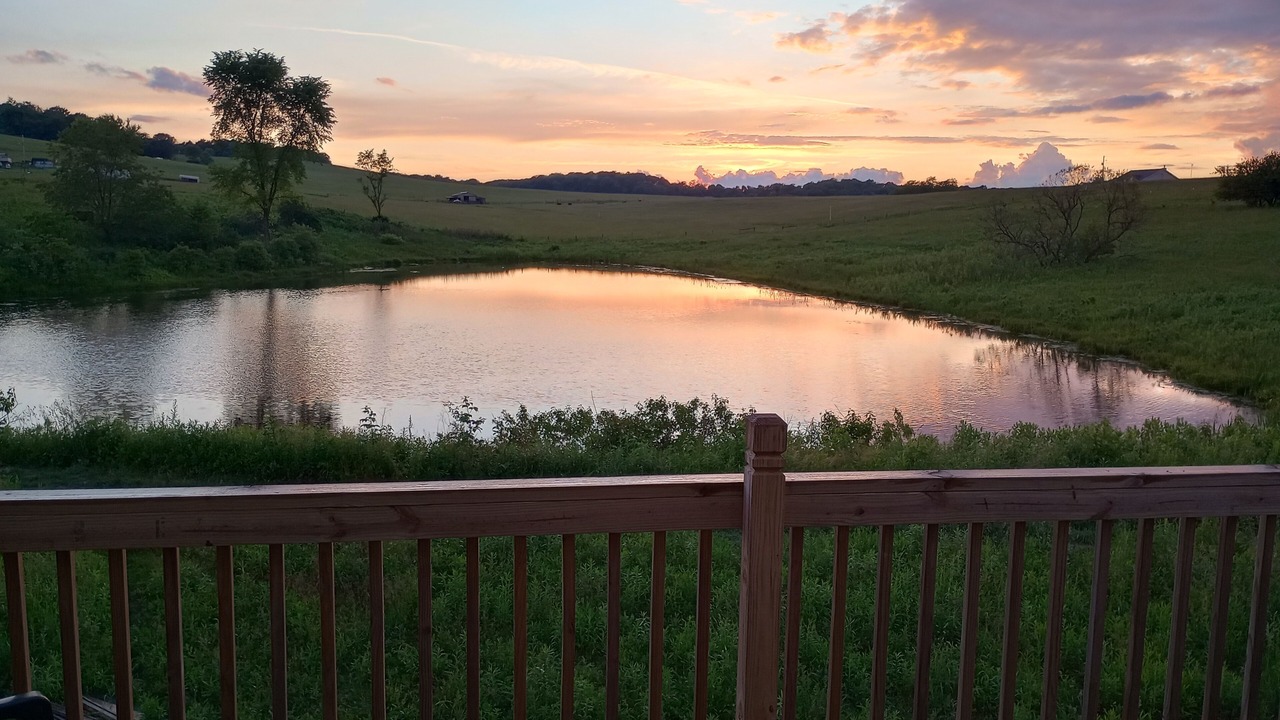 Photo of Outdoor in East Springfield