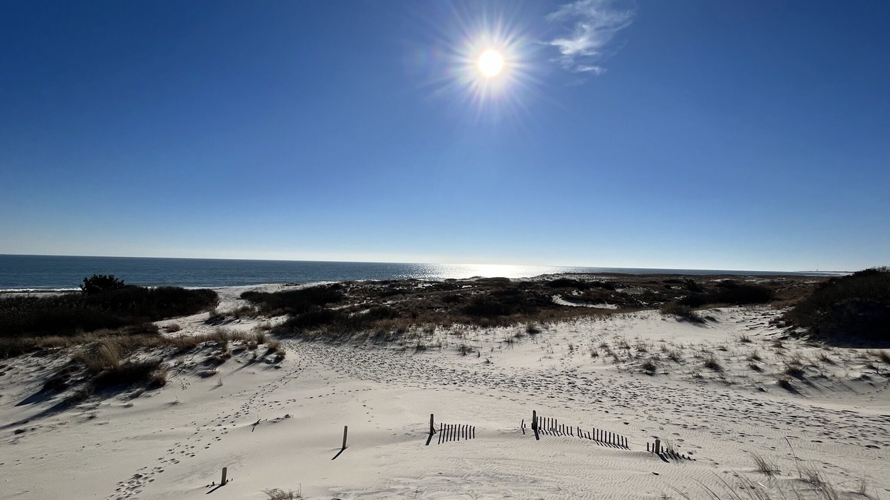 Photo of Others in Point Pleasant - Toms River