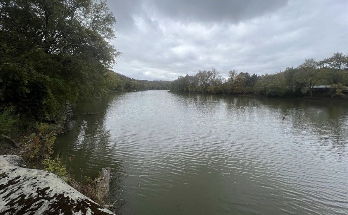 Photo of Others in Coal Run