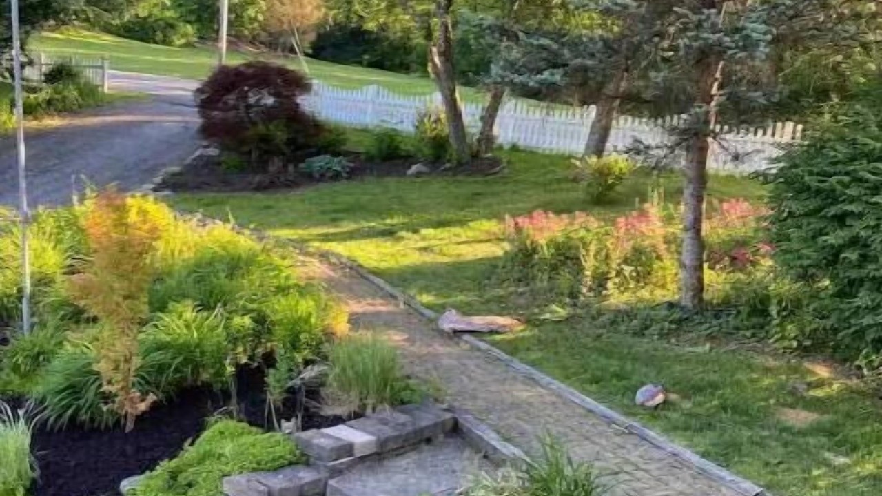 Photo of Outdoor in Portersville