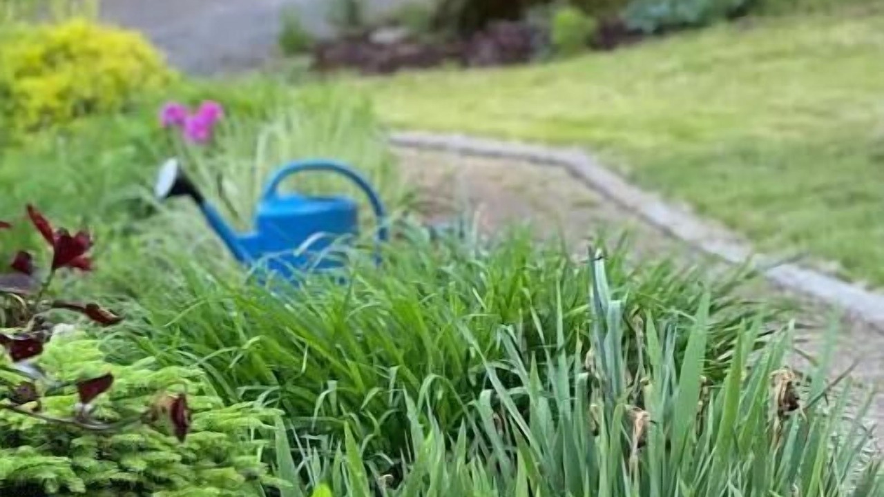 Photo of Outdoor in Portersville