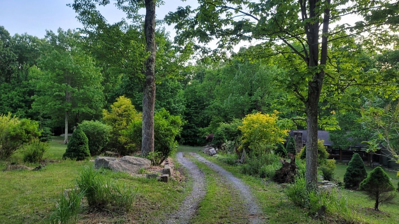 Photo of Outdoor in Montrose