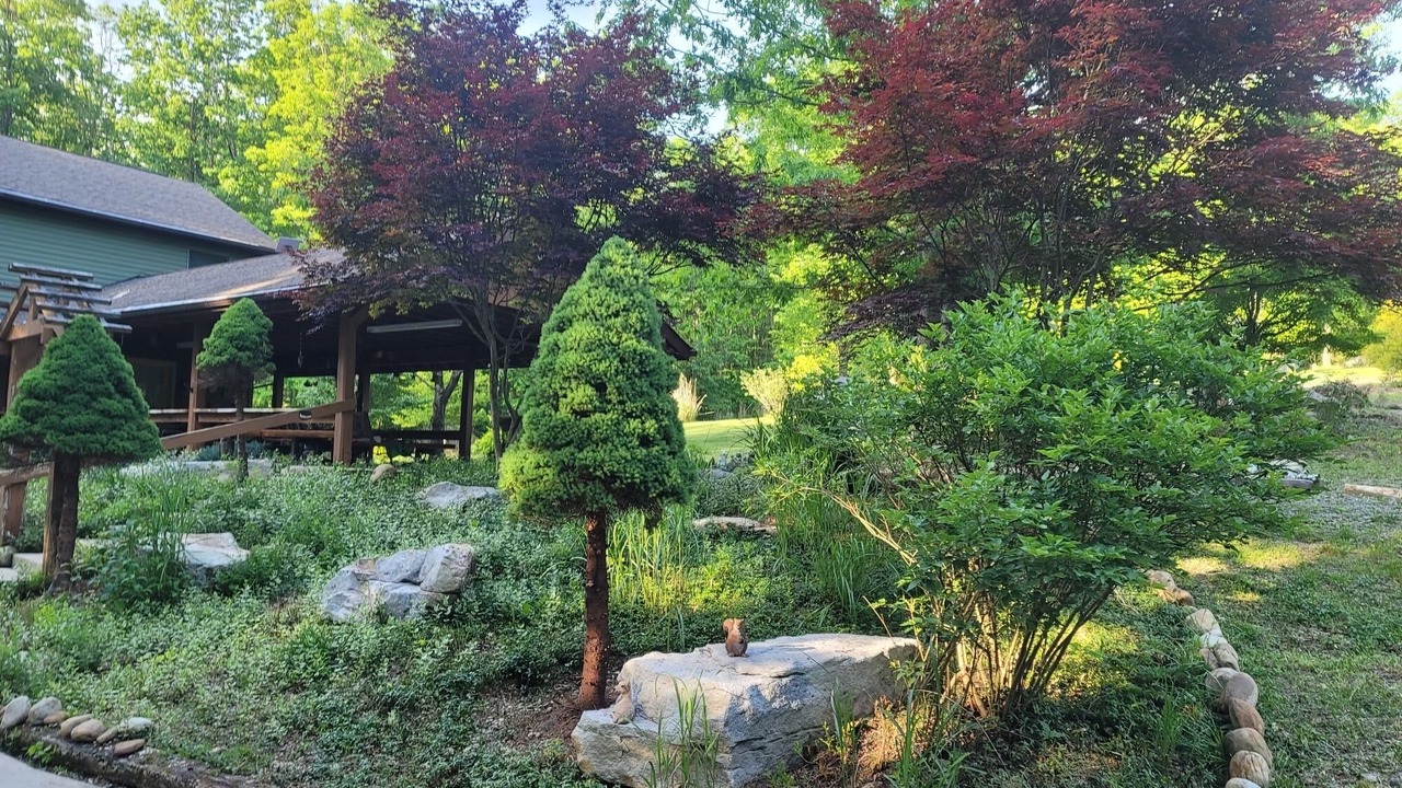 Photo of Outdoor in Montrose