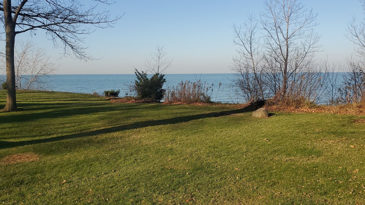 Photo of Outdoor in Eastlake