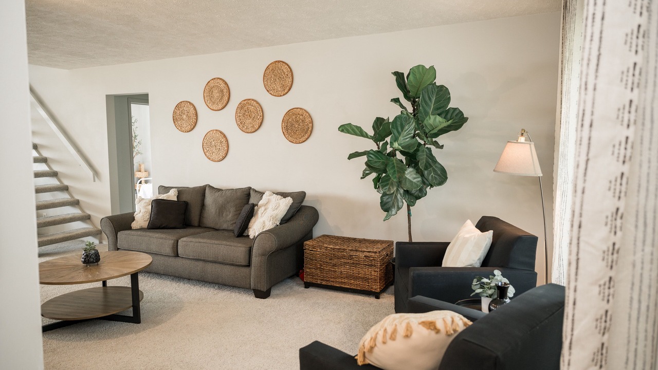 Photo of Livingroom in Shelbyville