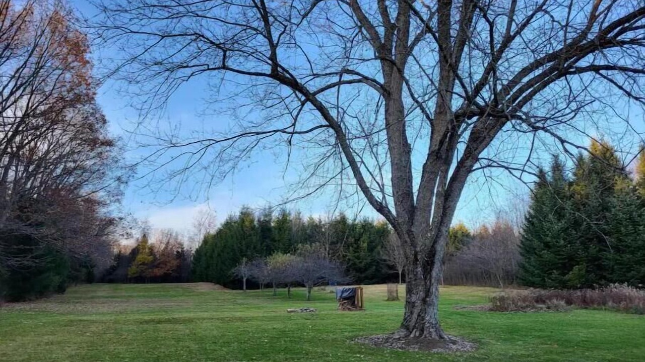 Photo of Outdoor in Chapmanville