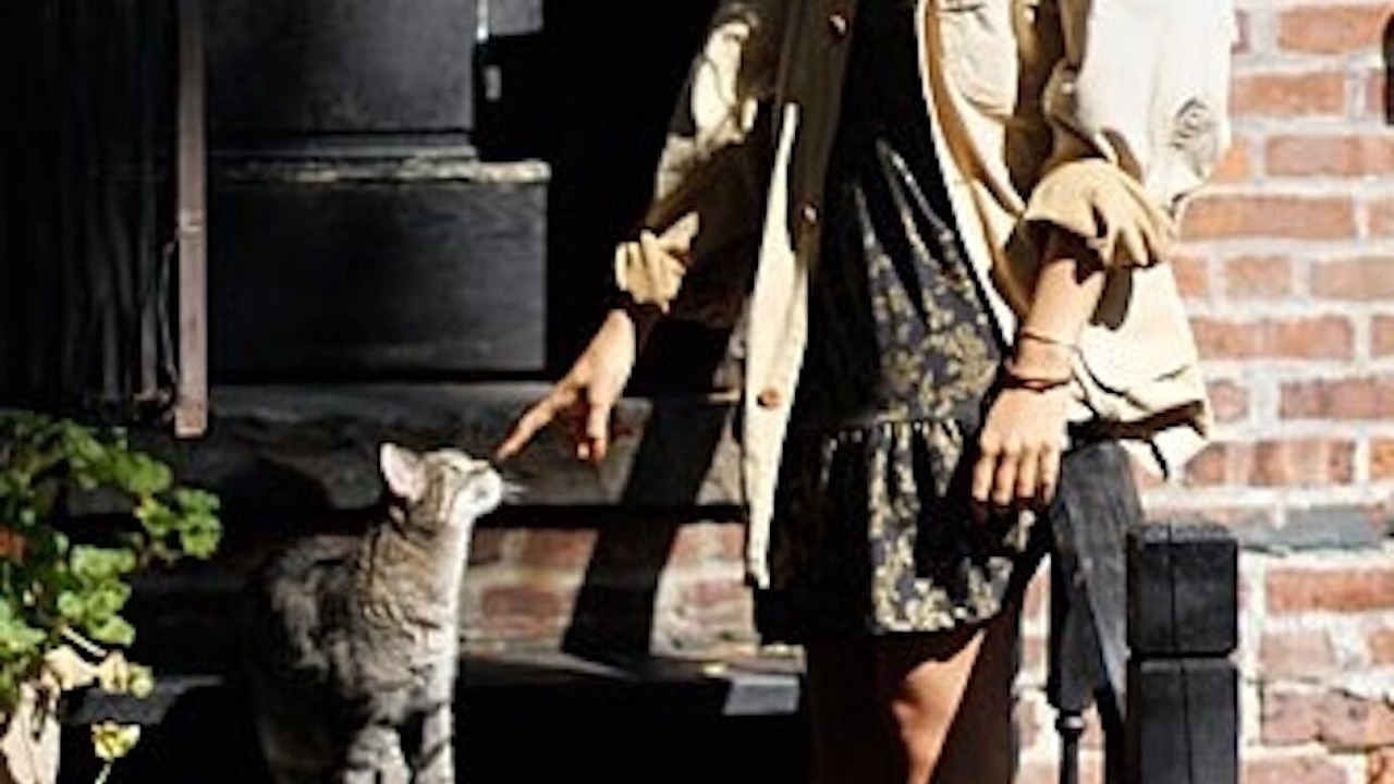 Photo of Others in Upper Manhattan