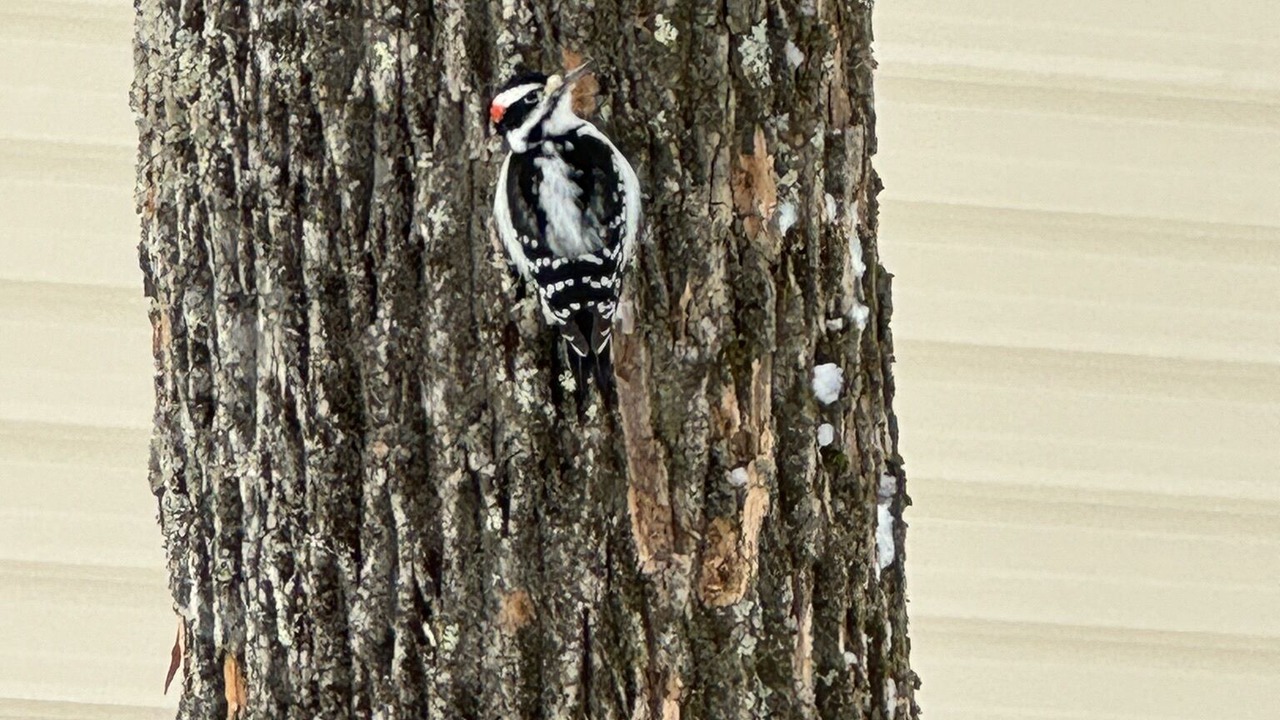 Photo of Others in Lackawaxen