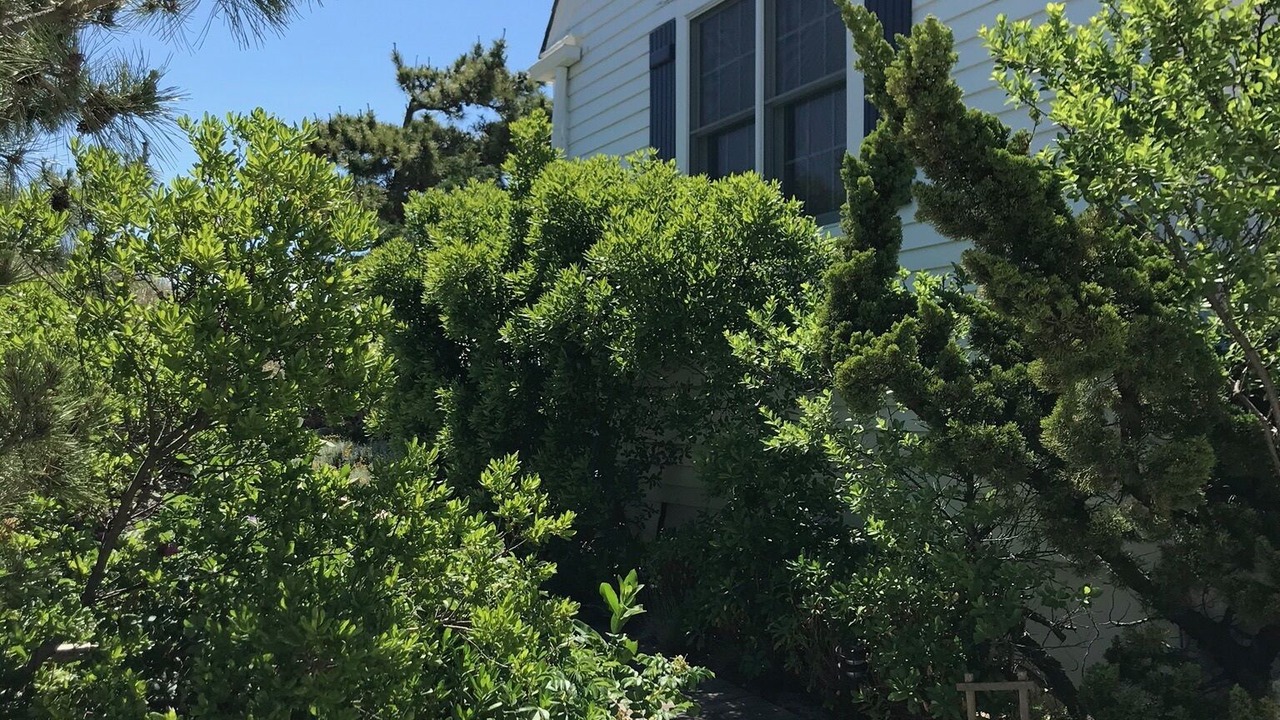 Photo of Outdoor in Surf City