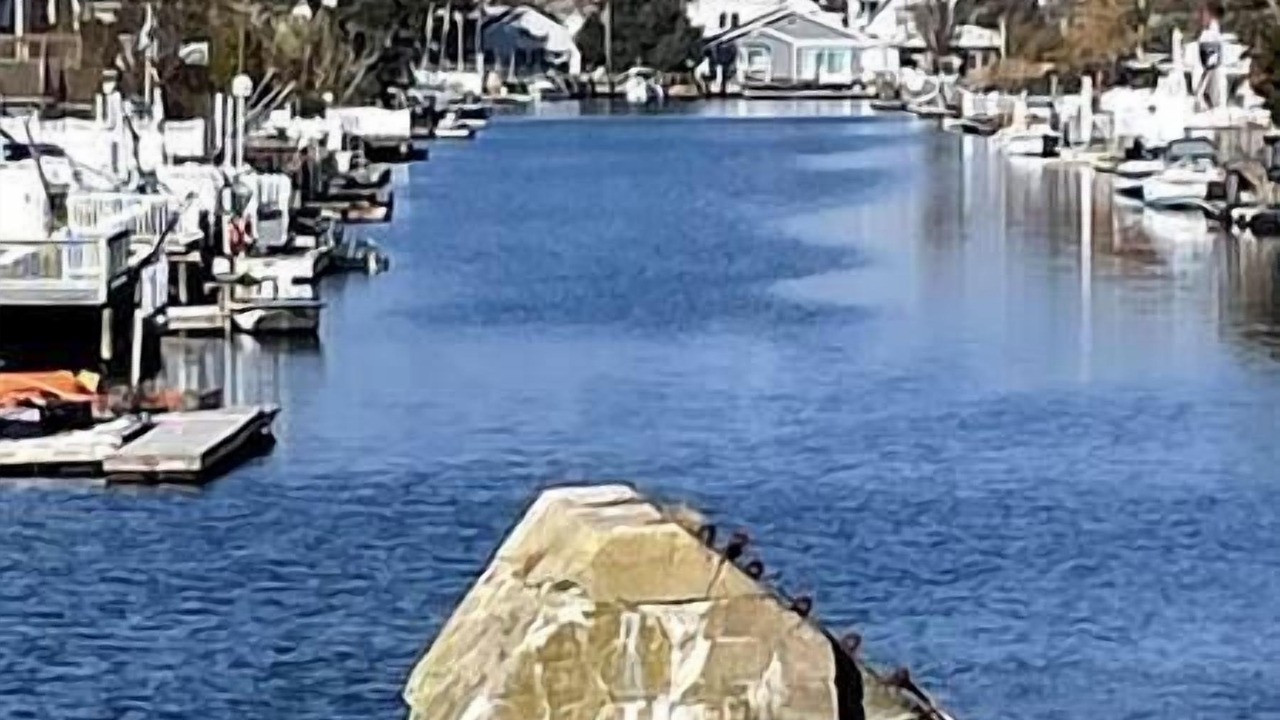 Photo of Others in Mystic Island