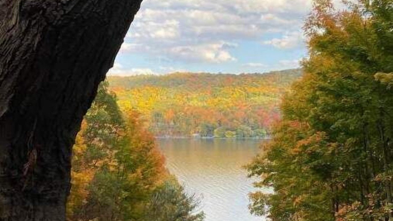 Photo of Outdoor in Branchport