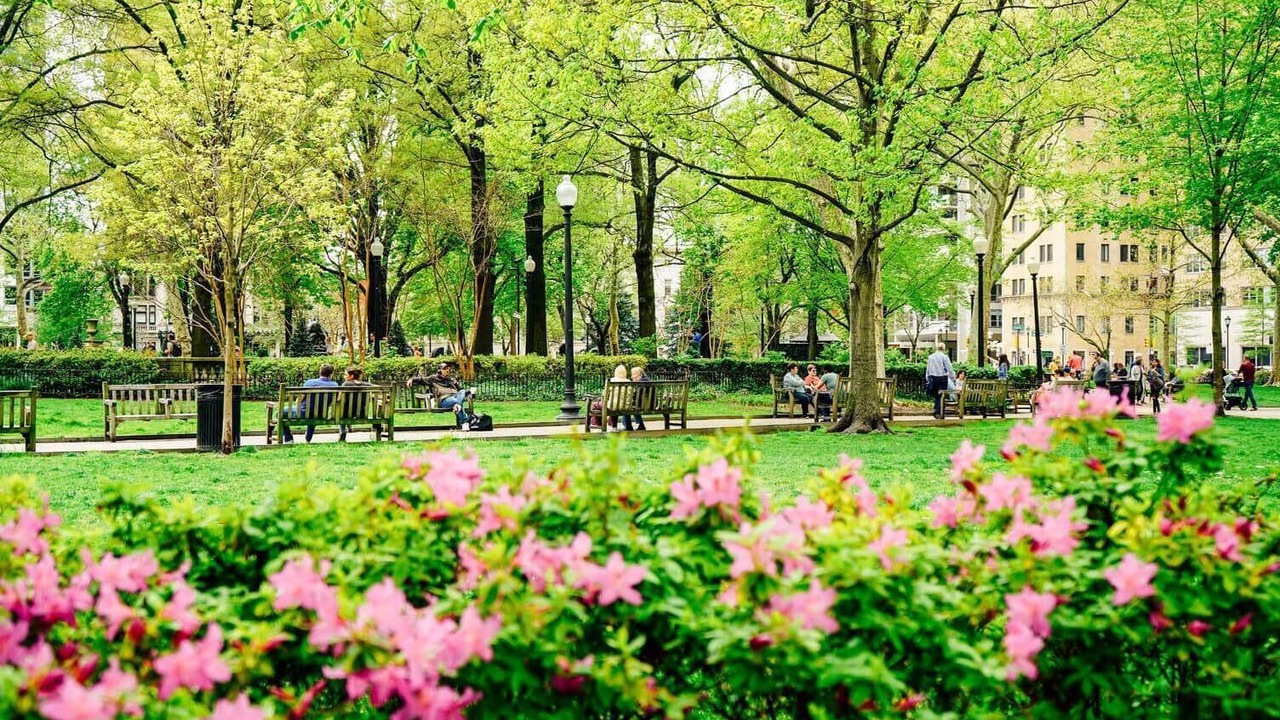 Photo of Others in Center City West