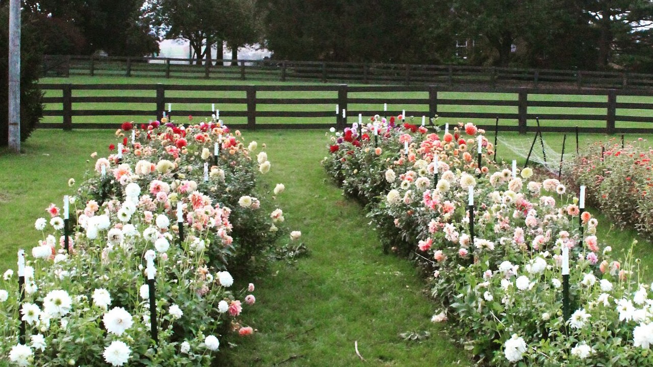 Photo of Outdoor in Martindale