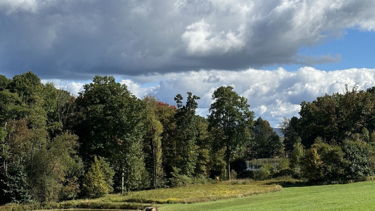 Photo of Others in Brush Valley