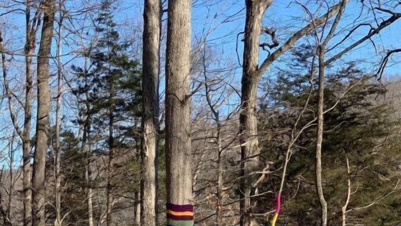 Photo of Outdoor in Monticello