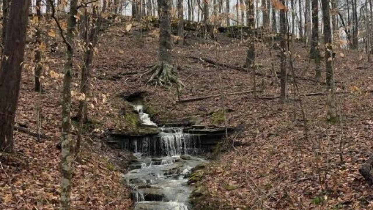 Photo of Others in Monticello
