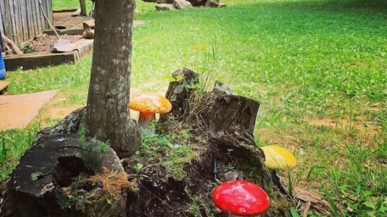 Photo of Outdoor in Monticello