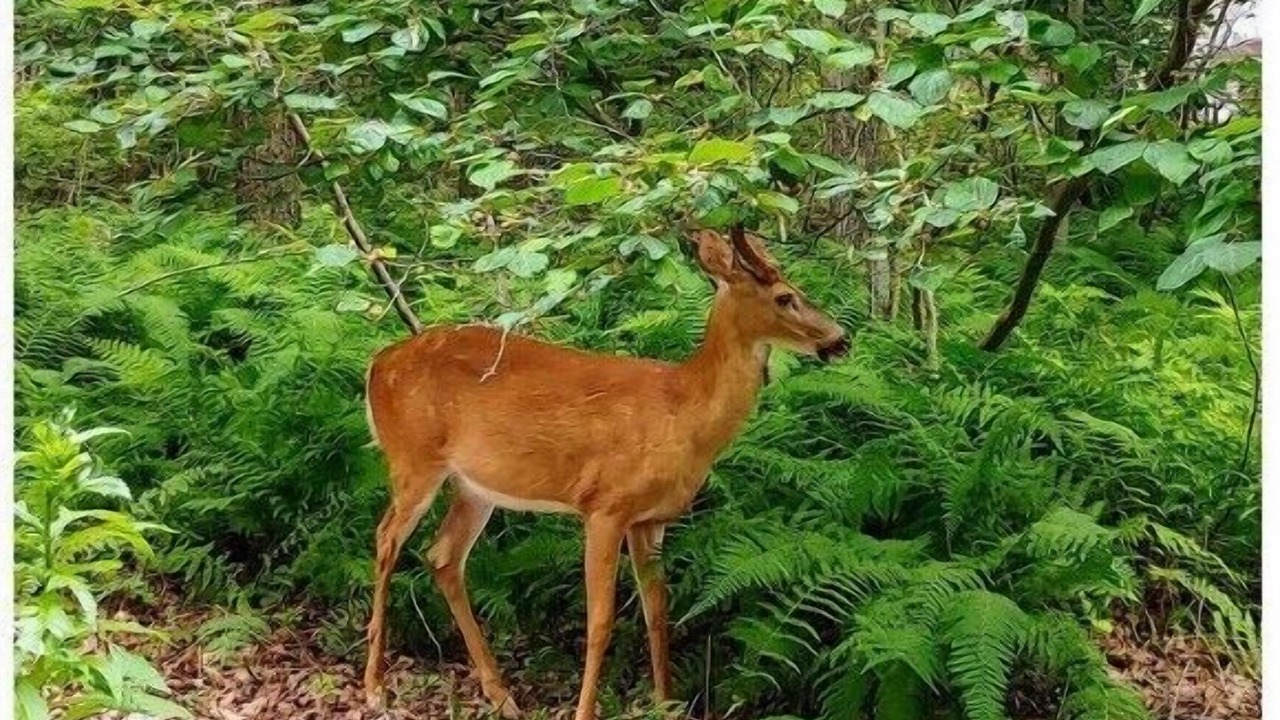 Photo of Outdoor in Jim Thorpe