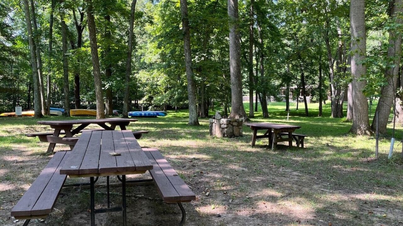 Photo of Others in Great Cacapon