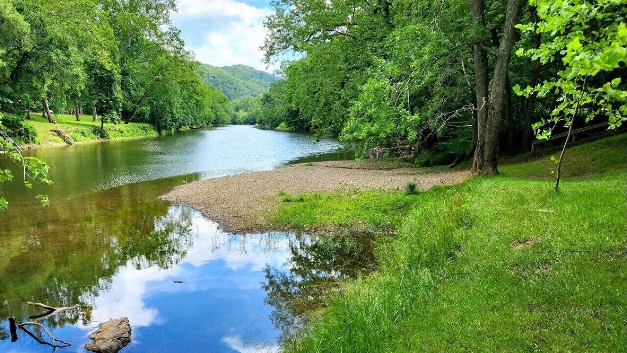 Photo of Others in Great Cacapon