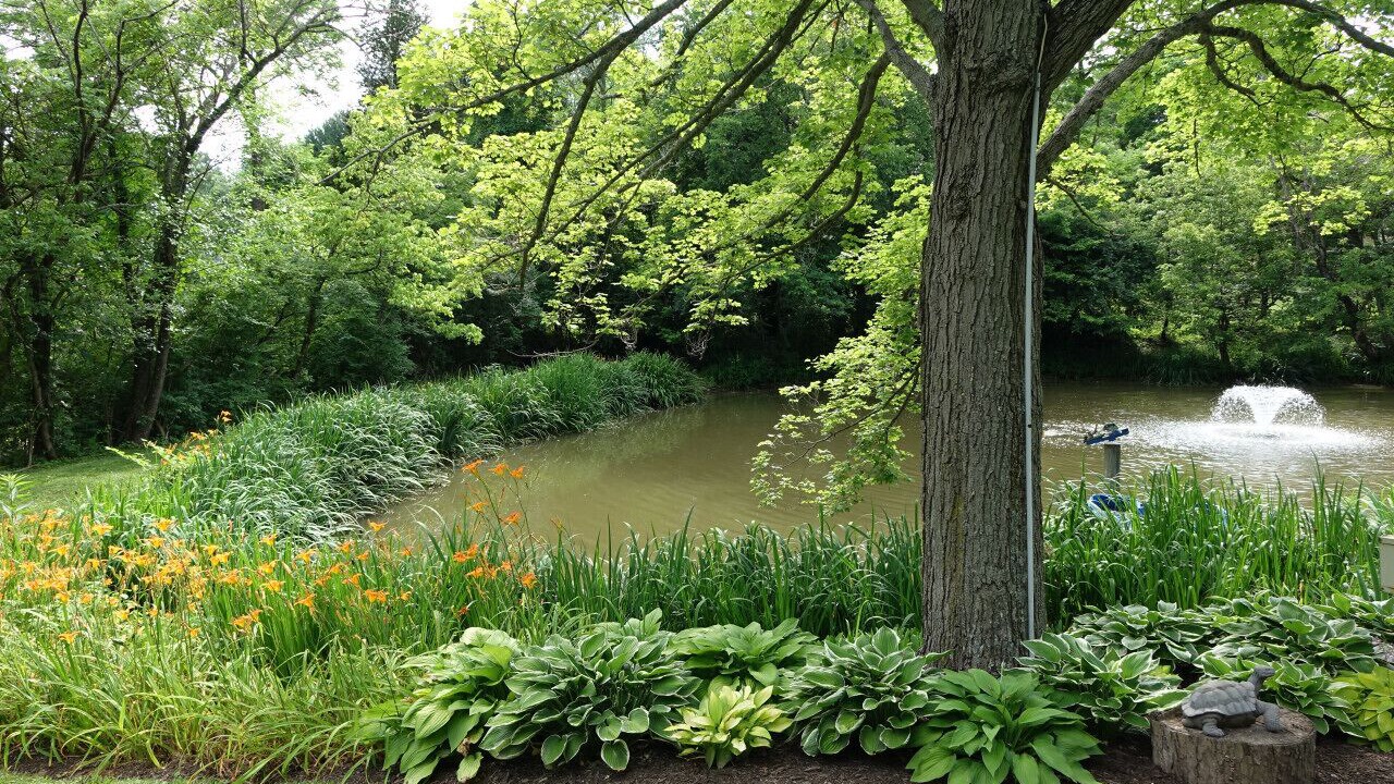 Photo of Outdoor in Anderson Township