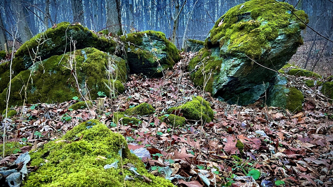 Photo of Outdoor in Bakerton