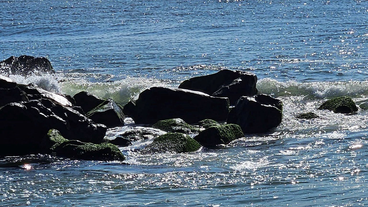 Photo of Others in Ocean Grove