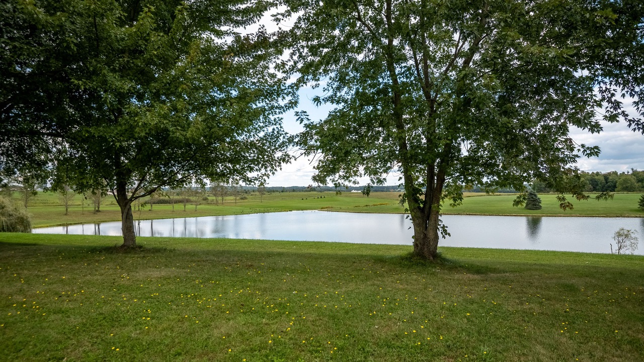 Photo of Outdoor in Branchton