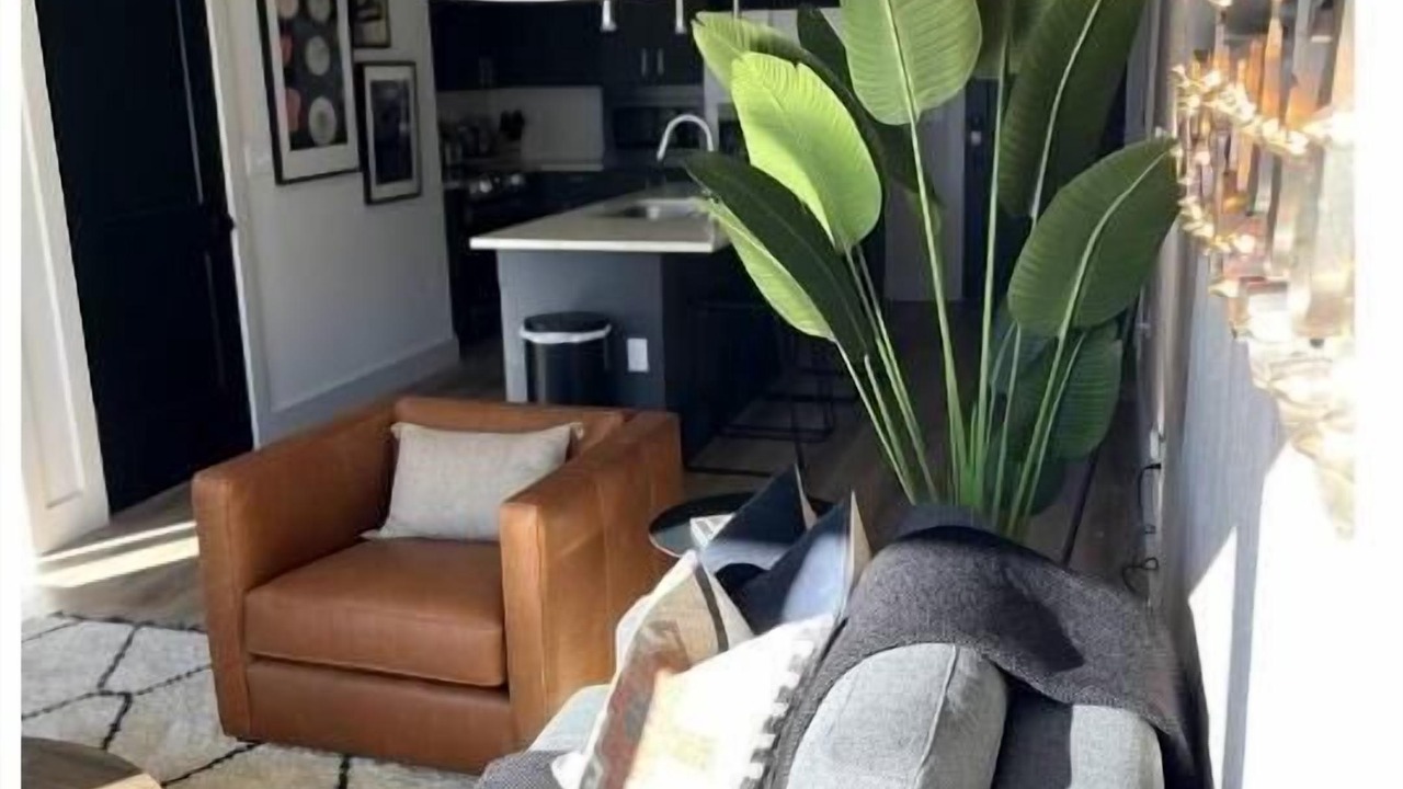 Photo of Livingroom in West End