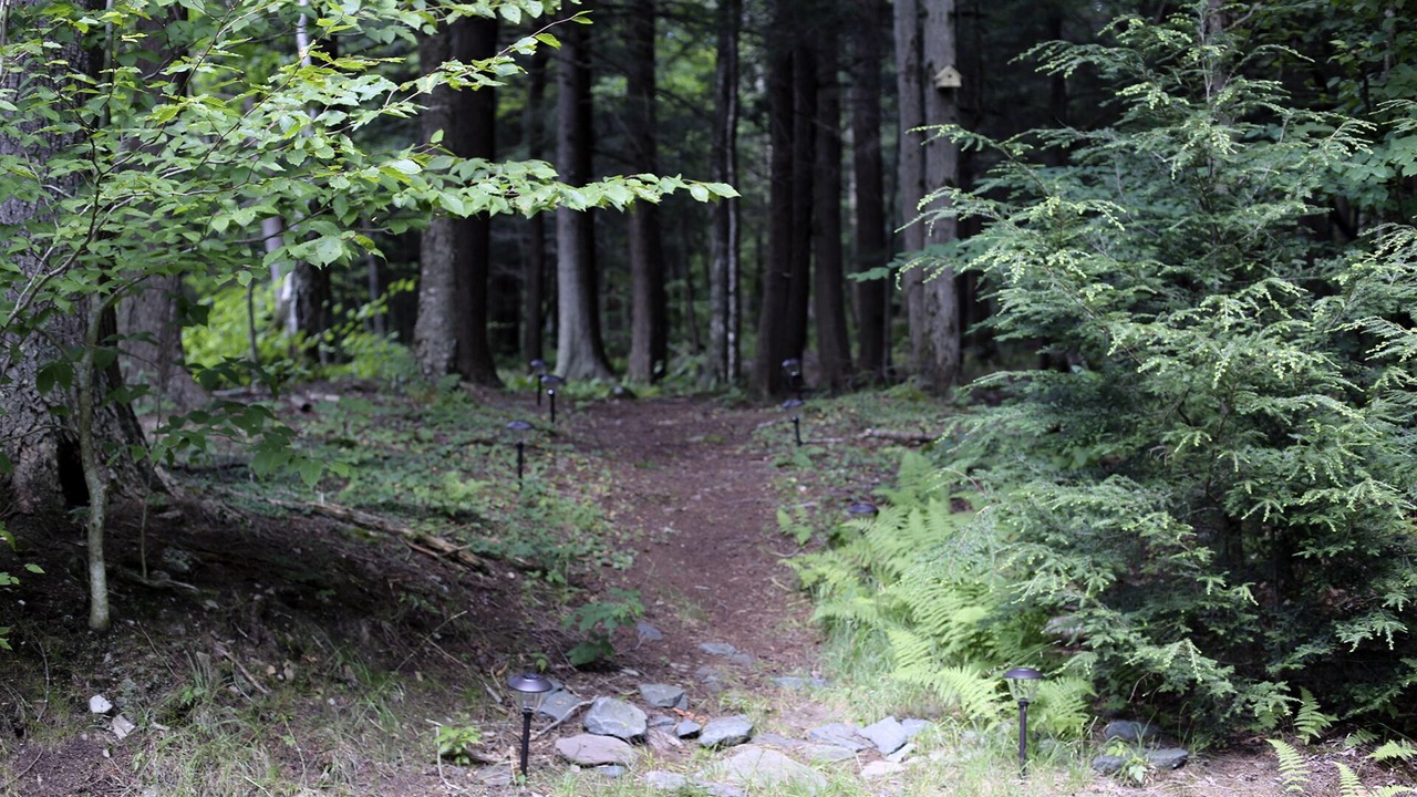 Photo of Outdoor in Town of Denning